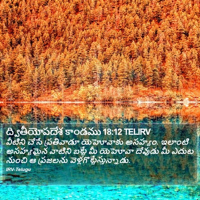 ద్వితీయోపదేశ కాండము 18:12 TELIRV Bible Verse Image