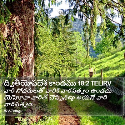 ద్వితీయోపదేశ కాండము 18:2 TELIRV Bible Verse Image