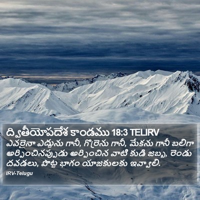 ద్వితీయోపదేశ కాండము 18:3 TELIRV Bible Verse Image