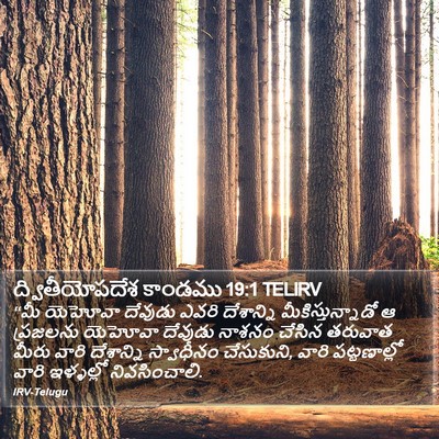 ద్వితీయోపదేశ కాండము 19:1 TELIRV Bible Verse Image