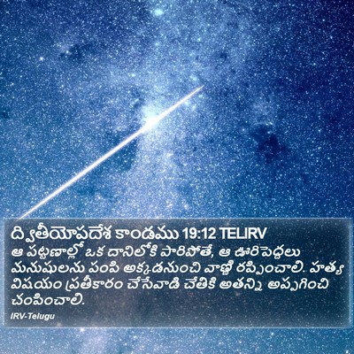 ద్వితీయోపదేశ కాండము 19:12 TELIRV Bible Verse Image