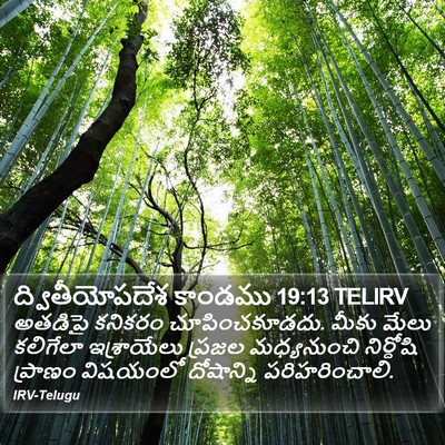 ద్వితీయోపదేశ కాండము 19:13 TELIRV Bible Verse Image