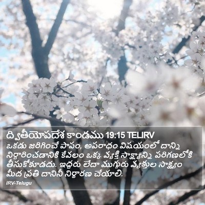 ద్వితీయోపదేశ కాండము 19:15 TELIRV Bible Verse Image