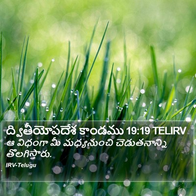 ద్వితీయోపదేశ కాండము 19:19 TELIRV Bible Verse Image