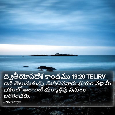 ద్వితీయోపదేశ కాండము 19:20 TELIRV Bible Verse Image
