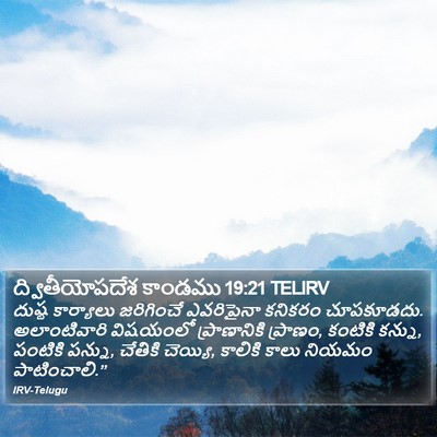 ద్వితీయోపదేశ కాండము 19:21 TELIRV Bible Verse Image