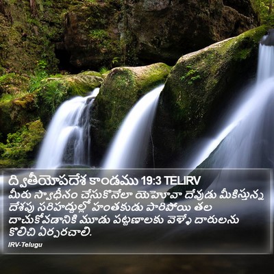 ద్వితీయోపదేశ కాండము 19:3 TELIRV Bible Verse Image