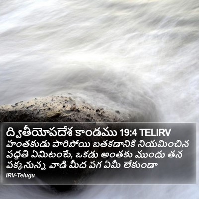 ద్వితీయోపదేశ కాండము 19:4 TELIRV Bible Verse Image