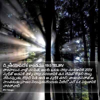 ద్వితీయోపదేశ కాండము 19:5 TELIRV Bible Verse Image