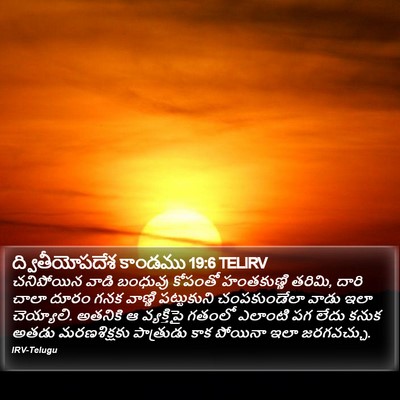ద్వితీయోపదేశ కాండము 19:6 TELIRV Bible Verse Image