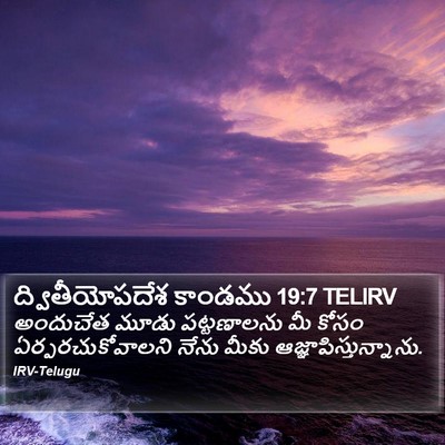 ద్వితీయోపదేశ కాండము 19:7 TELIRV Bible Verse Image