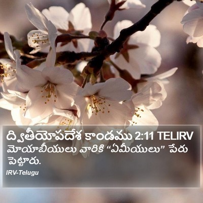 ద్వితీయోపదేశ కాండము 2:11 TELIRV Bible Verse Image