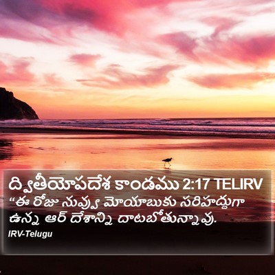ద్వితీయోపదేశ కాండము 2:17 TELIRV Bible Verse Image
