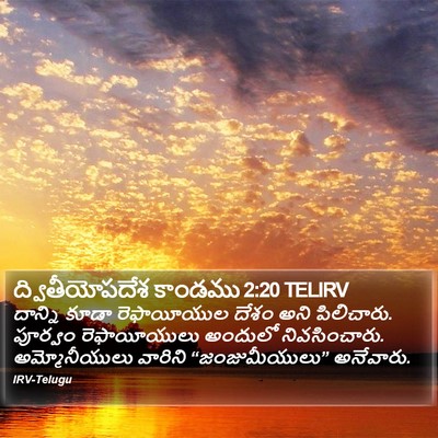 ద్వితీయోపదేశ కాండము 2:20 TELIRV Bible Verse Image