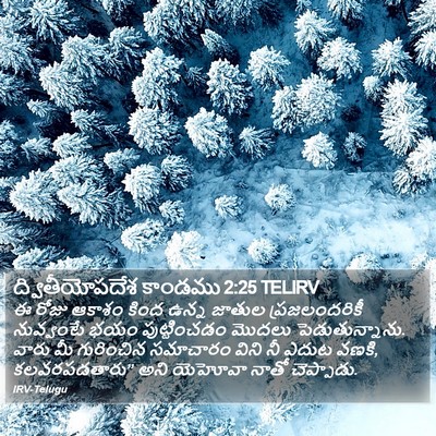 ద్వితీయోపదేశ కాండము 2:25 TELIRV Bible Verse Image