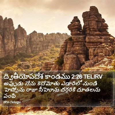 ద్వితీయోపదేశ కాండము 2:26 TELIRV Bible Verse Image