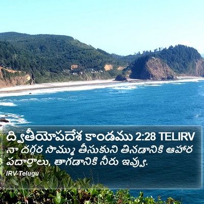 ద్వితీయోపదేశ కాండము 2:28 TELIRV Bible Verse Image