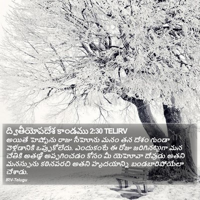 ద్వితీయోపదేశ కాండము 2:30 TELIRV Bible Verse Image