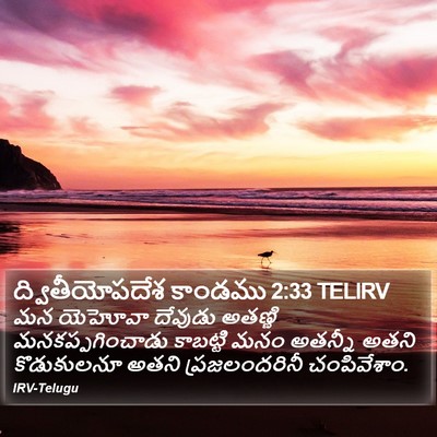 ద్వితీయోపదేశ కాండము 2:33 TELIRV Bible Verse Image
