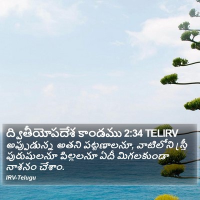 ద్వితీయోపదేశ కాండము 2:34 TELIRV Bible Verse Image