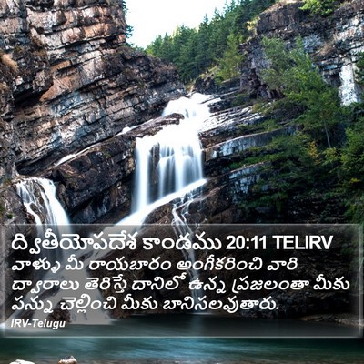 ద్వితీయోపదేశ కాండము 20:11 TELIRV Bible Verse Image