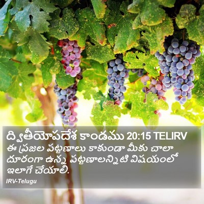 ద్వితీయోపదేశ కాండము 20:15 TELIRV Bible Verse Image