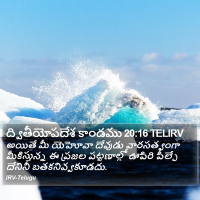 ద్వితీయోపదేశ కాండము 20:16 TELIRV Bible Verse Image