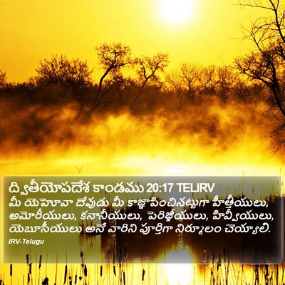 ద్వితీయోపదేశ కాండము 20:17 TELIRV Bible Verse Image
