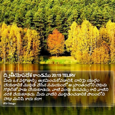 ద్వితీయోపదేశ కాండము 20:19 TELIRV Bible Verse Image