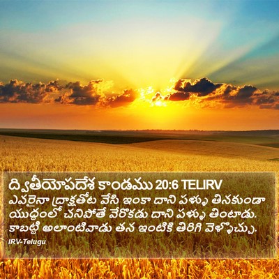 ద్వితీయోపదేశ కాండము 20:6 TELIRV Bible Verse Image