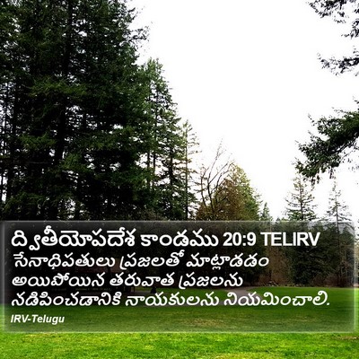 ద్వితీయోపదేశ కాండము 20:9 TELIRV Bible Verse Image