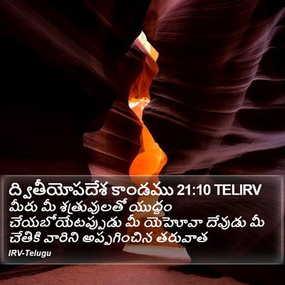 ద్వితీయోపదేశ కాండము 21:10 TELIRV Bible Verse Image