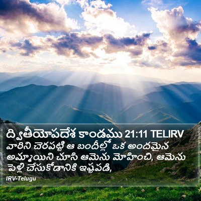 ద్వితీయోపదేశ కాండము 21:11 TELIRV Bible Verse Image