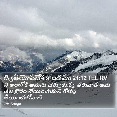 ద్వితీయోపదేశ కాండము 21:12 TELIRV Bible Verse Image