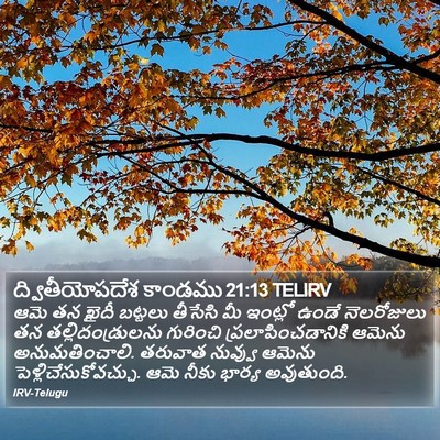 ద్వితీయోపదేశ కాండము 21:13 TELIRV Bible Verse Image