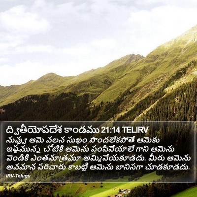 ద్వితీయోపదేశ కాండము 21:14 TELIRV Bible Verse Image