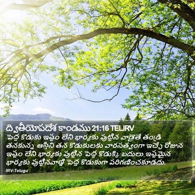 ద్వితీయోపదేశ కాండము 21:16 TELIRV Bible Verse Image