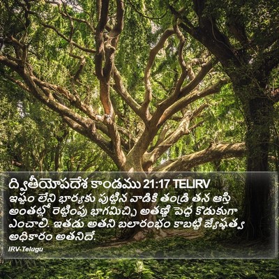 ద్వితీయోపదేశ కాండము 21:17 TELIRV Bible Verse Image
