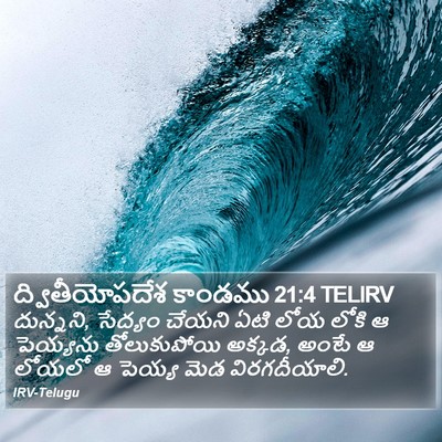 ద్వితీయోపదేశ కాండము 21:4 TELIRV Bible Verse Image