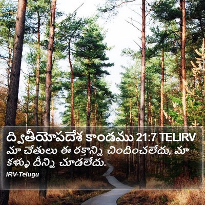 ద్వితీయోపదేశ కాండము 21:7 TELIRV Bible Verse Image
