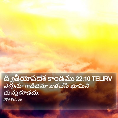 ద్వితీయోపదేశ కాండము 22:10 TELIRV Bible Verse Image
