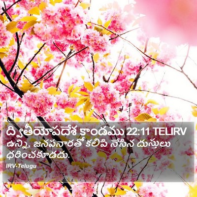 ద్వితీయోపదేశ కాండము 22:11 TELIRV Bible Verse Image