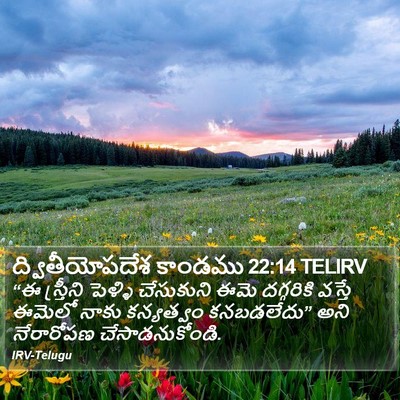ద్వితీయోపదేశ కాండము 22:14 TELIRV Bible Verse Image