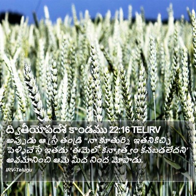 ద్వితీయోపదేశ కాండము 22:16 TELIRV Bible Verse Image