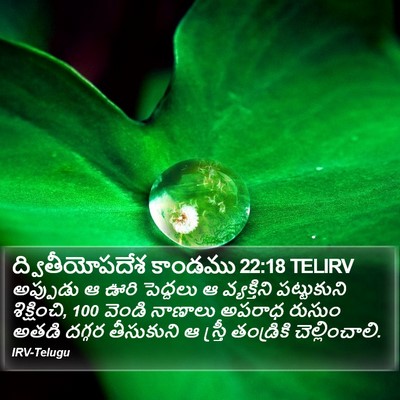 ద్వితీయోపదేశ కాండము 22:18 TELIRV Bible Verse Image