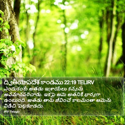 ద్వితీయోపదేశ కాండము 22:19 TELIRV Bible Verse Image