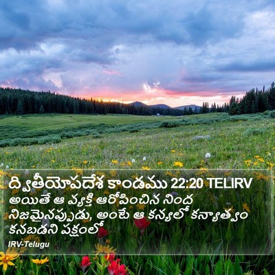 ద్వితీయోపదేశ కాండము 22:20 TELIRV Bible Verse Image
