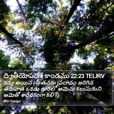 ద్వితీయోపదేశ కాండము 22:23 TELIRV Bible Verse Image