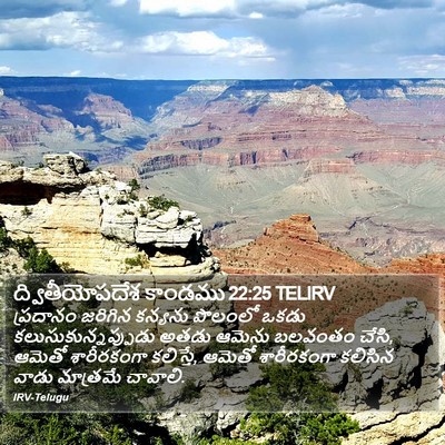 ద్వితీయోపదేశ కాండము 22:25 TELIRV Bible Verse Image