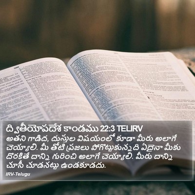 ద్వితీయోపదేశ కాండము 22:3 TELIRV Bible Verse Image